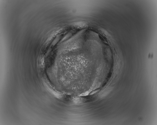 X0000114400336200911061543