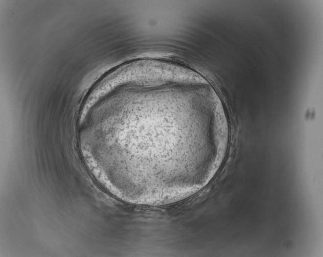 X0000114400337200911061543