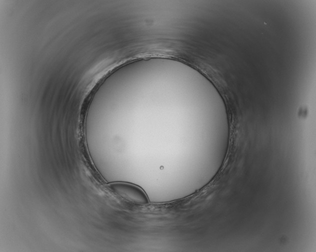 X0000114400338200911061543