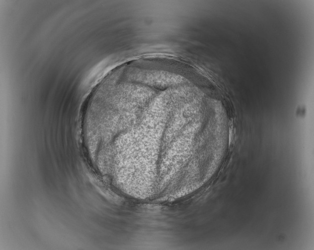 X0000114400339200911061543