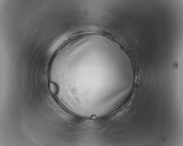 X0000114400341200911061543