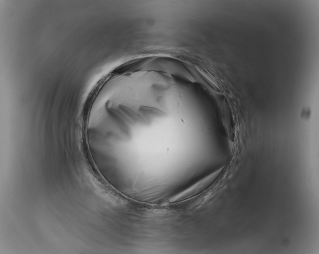 X0000114400342200911061543