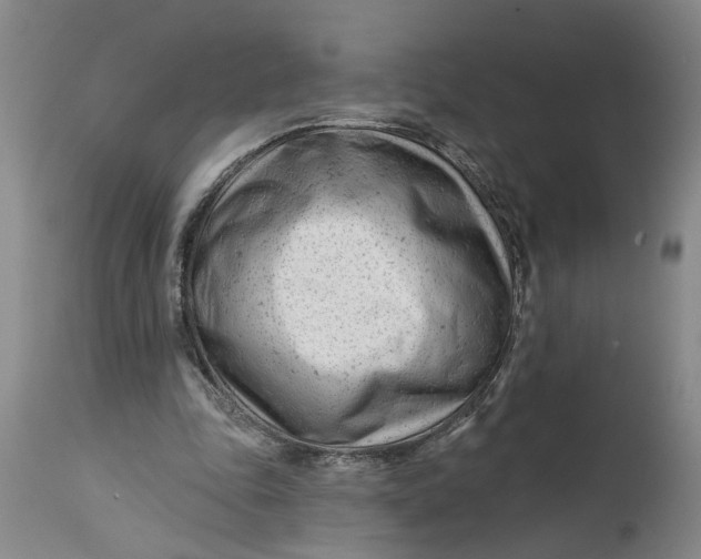 X0000114400343200911061543