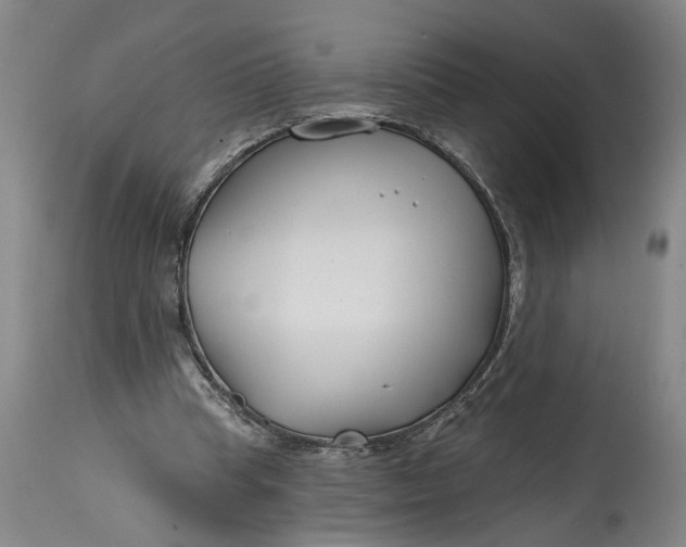 X0000114400345200911061543