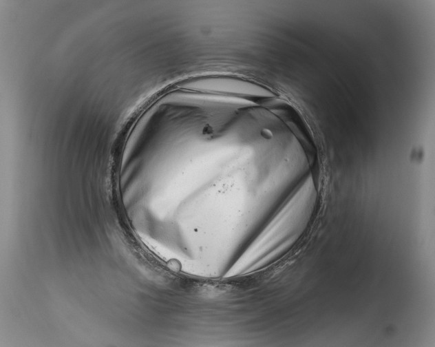 X0000114400346200911061543