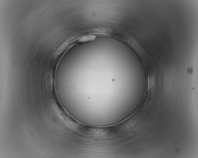 X0000114400349200911061543