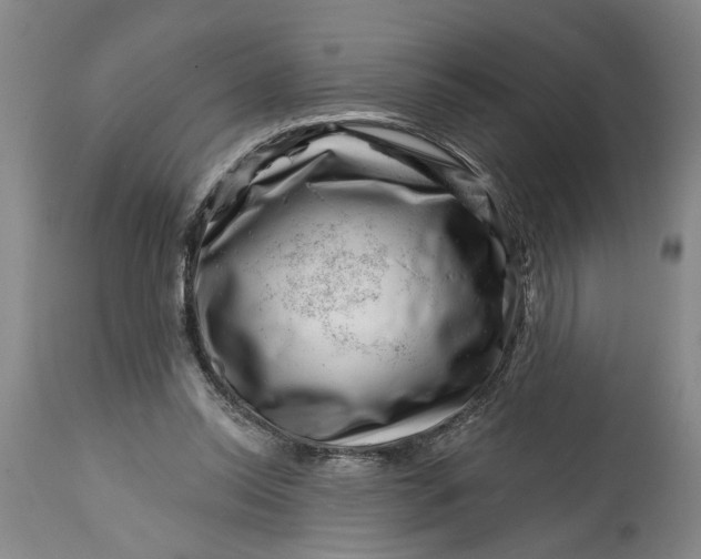 X0000114400350200911061543