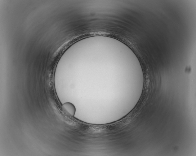 X0000114400351200911061543