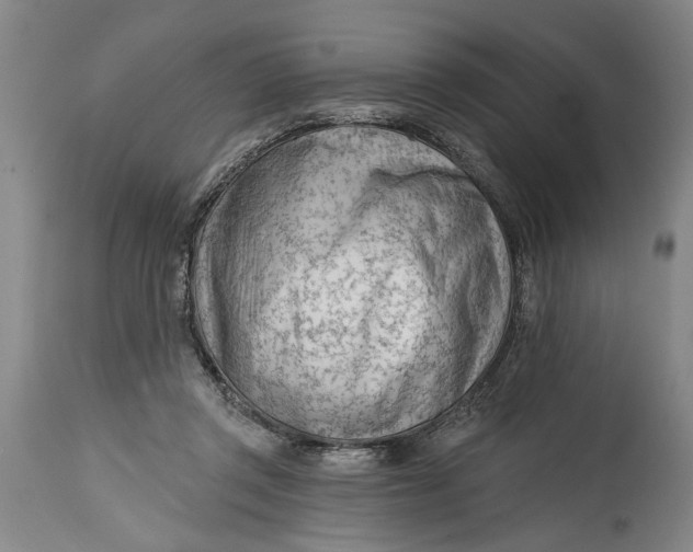 X0000114400357200911061543