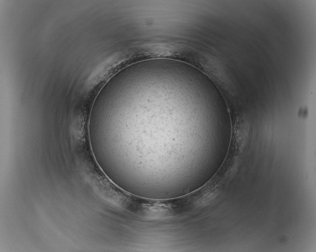 X0000114400359200911061543