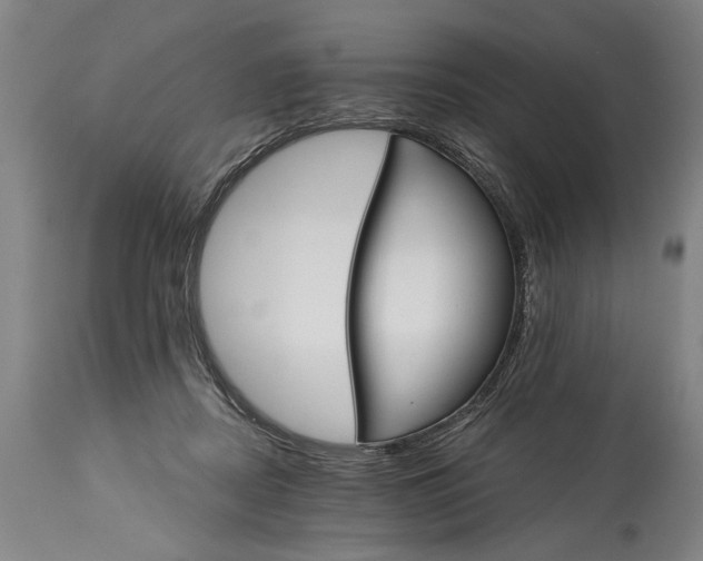 X0000114400362200911061543