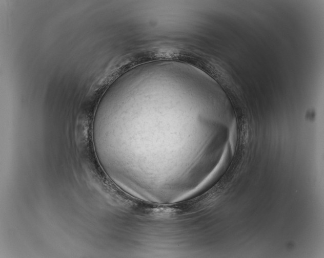 X0000114400363200911061543