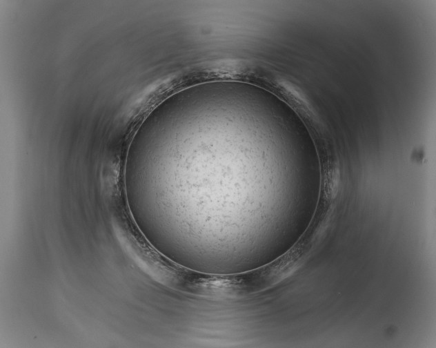 X0000114400365200911061543