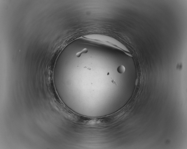 X0000114400366200911061543