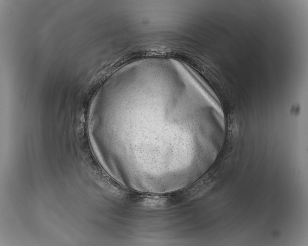 X0000114400369200911061543