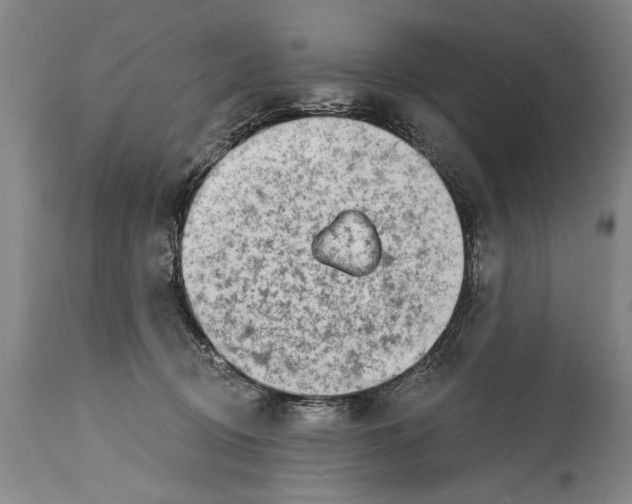 X0000114400370200911061543