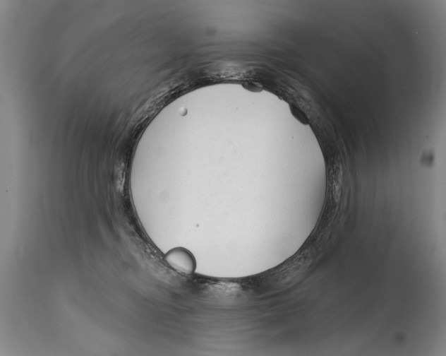 X0000114400374200911061543