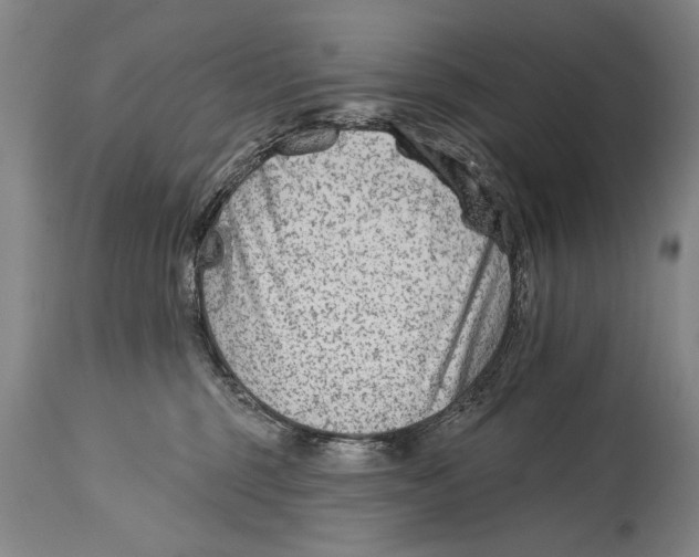 X0000114400375200911061543