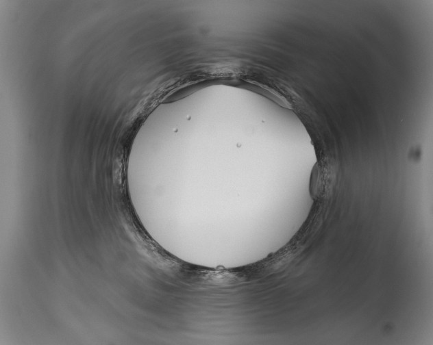 X0000114400379200911061543