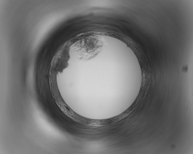 X0000114400381200911061543