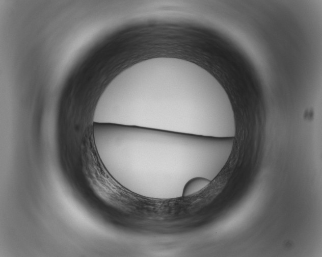 X0000114400383200911061543