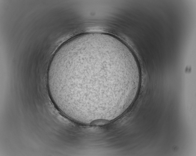 X0000114400385200911061543