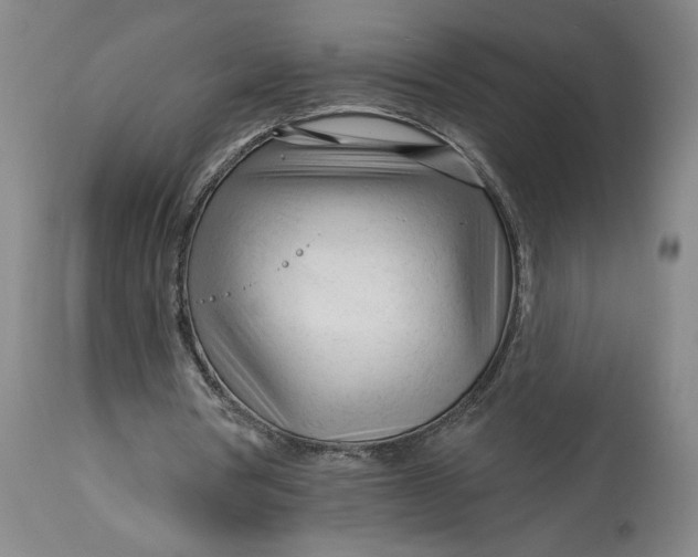 X0000114400386200911061543