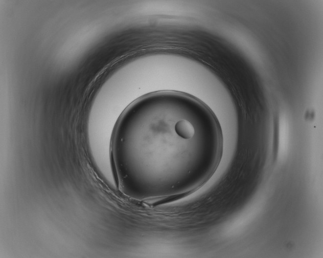 X0000114400387200911061543