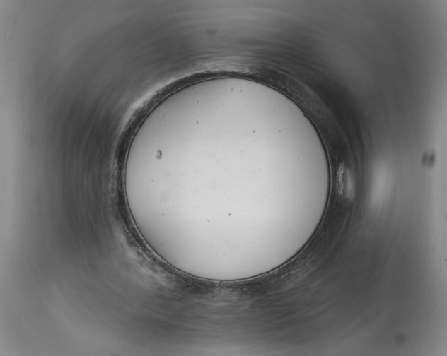 X0000114400388200911061543