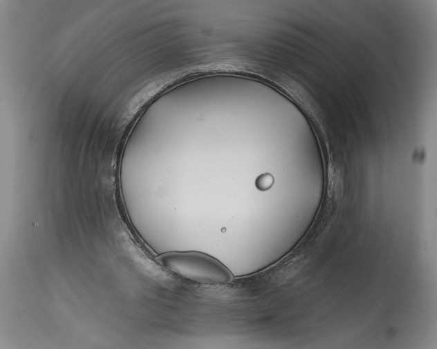 X0000114400389200911061543