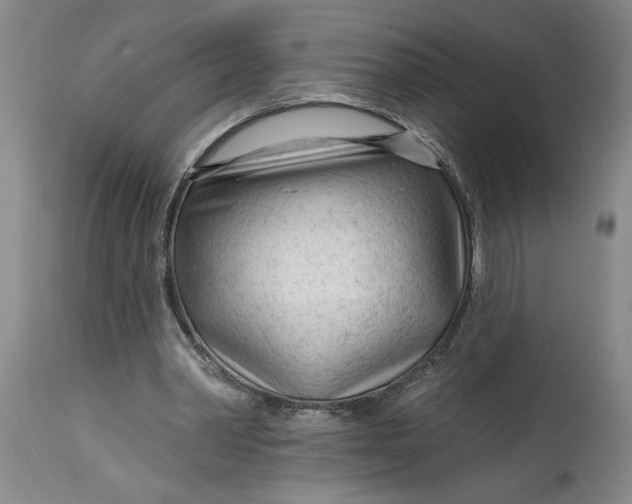 X0000114400390200911061542