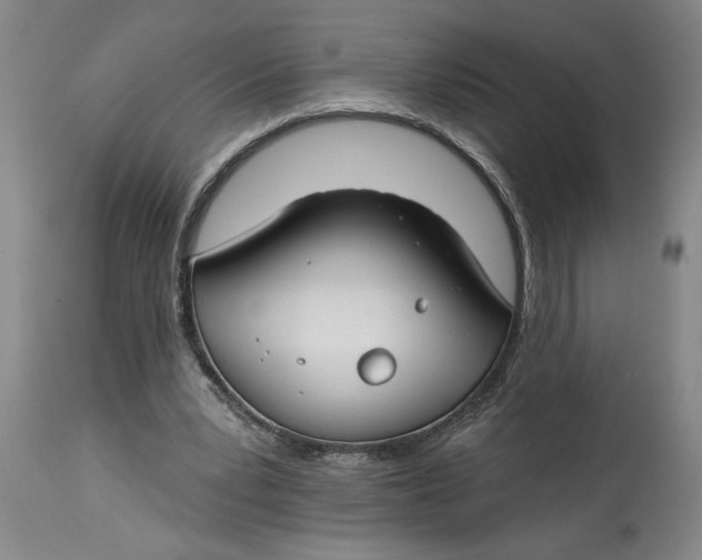 X0000114400391200911061542