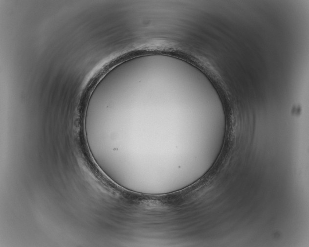 X0000114400392200911061542