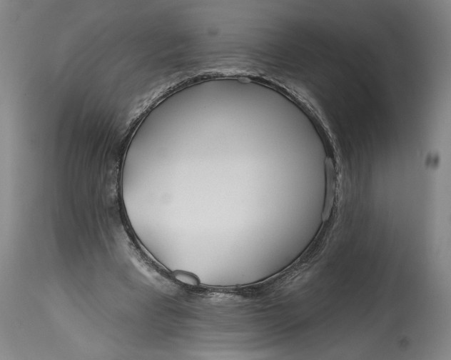 X0000114400393200911061542