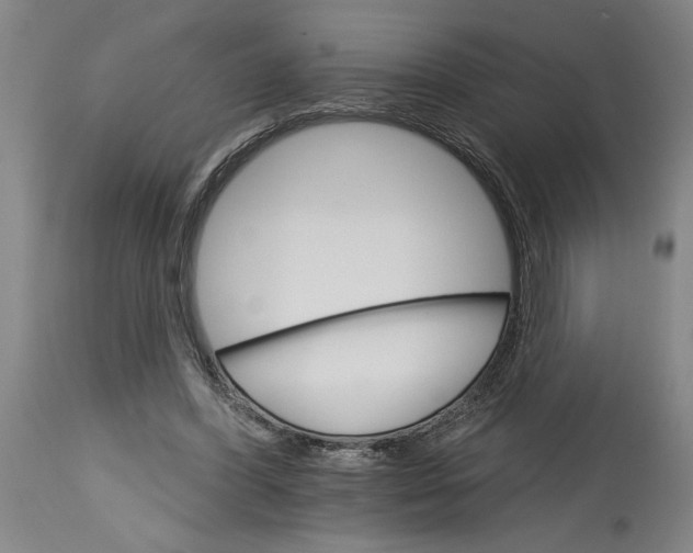 X0000114400396200911061542