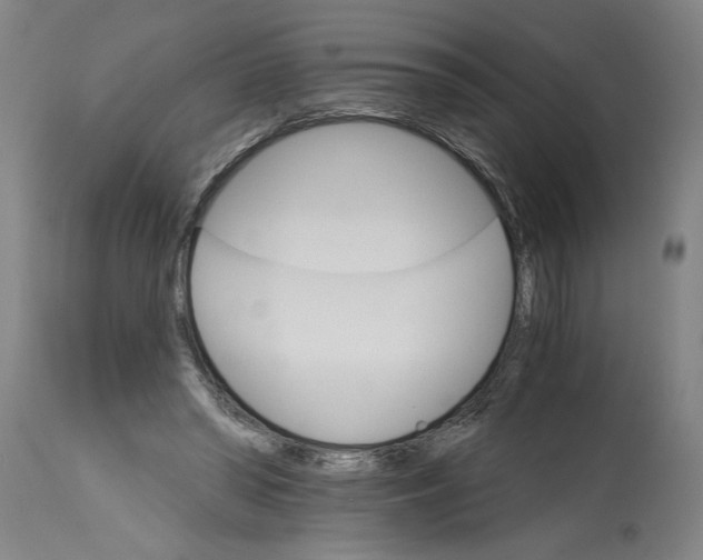 X0000114400398200911061542