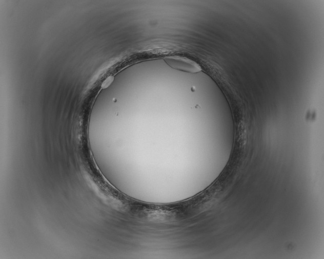 X0000114400400200911061542