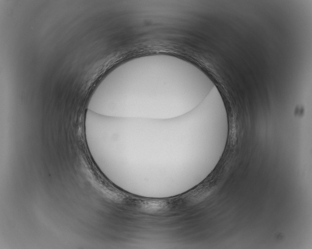 X0000114400402200911061542