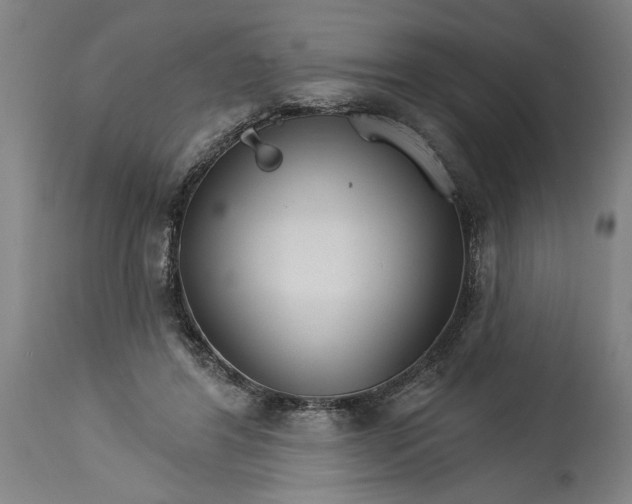 X0000114400404200911061542