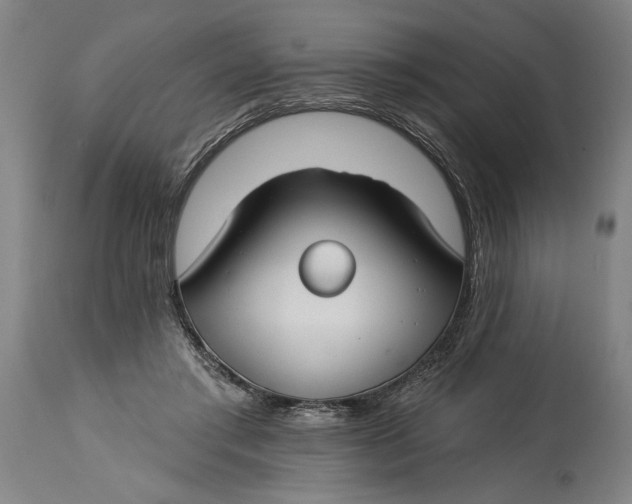 X0000114400405200911061542