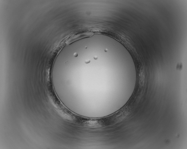 X0000114400406200911061542