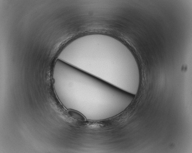 X0000114400407200911061542