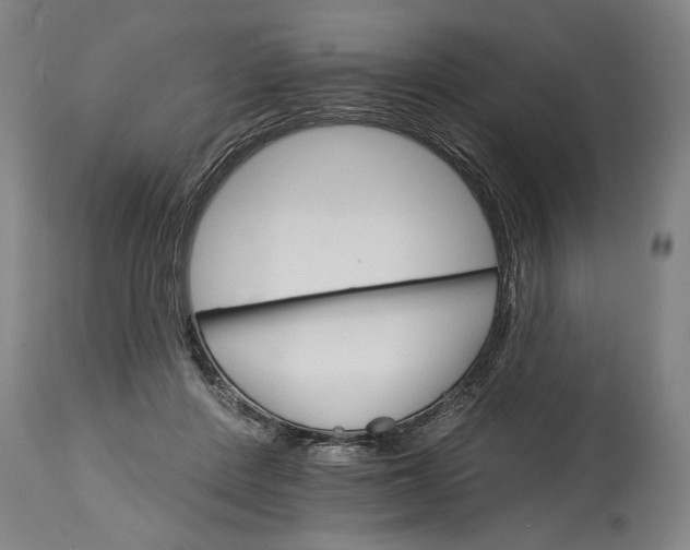 X0000114400408200911061542