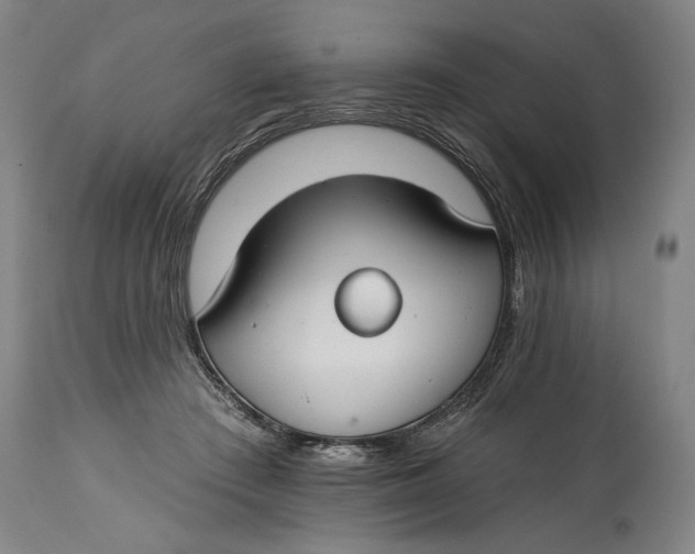 X0000114400409200911061542