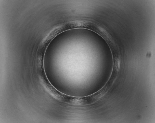 X0000114400410200911061542