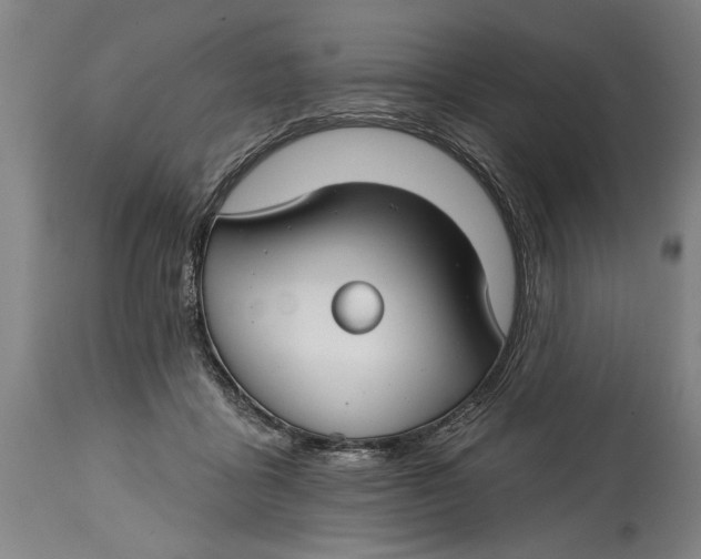 X0000114400411200911061542