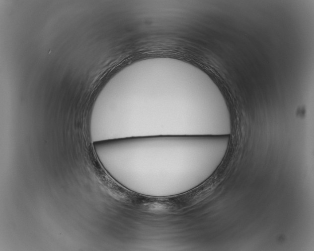 X0000114400412200911061542