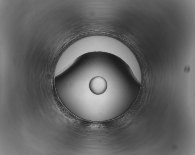 X0000114400415200911061542