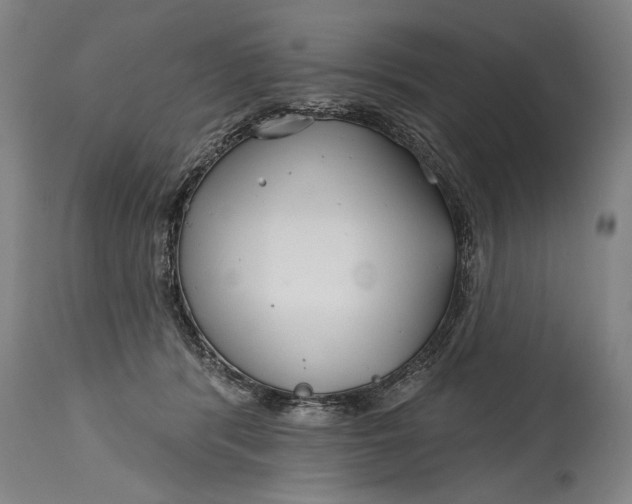 X0000114400416200911061542