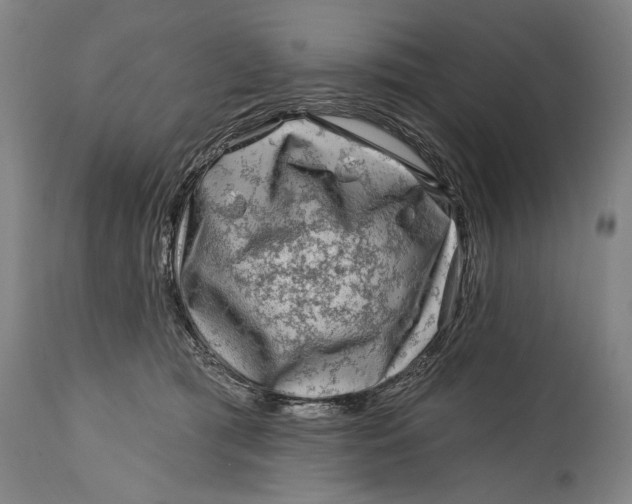 X0000114400417200911061542